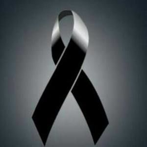 Meet your Posher, Lizeth